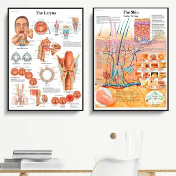 Ľudských Orgánov Anatómie Graf Plagáty A Vytlačí Plátno Umelecké Dekoratívne Nástenné Obrazy Pre Obývacia Izba Domova Bez Rámu Maľovanie