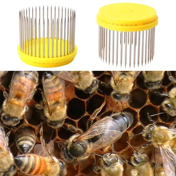 2 KS Nehrdzavejúca Oceľ Bee Kráľovná Spp Pre Kráľovnú Klietky Vysokej Kvality Včelárskych Zariadení, Dodávky